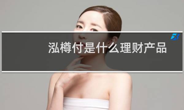 泓樽付是什么理财产品