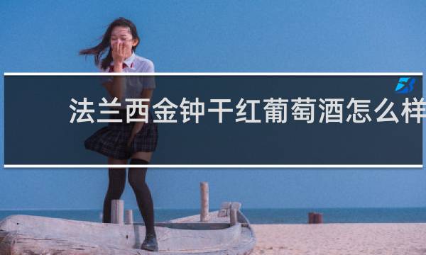 法兰西金钟干红葡萄酒怎么样