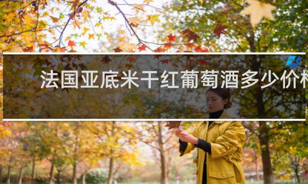 法国亚底米干红葡萄酒多少价格
