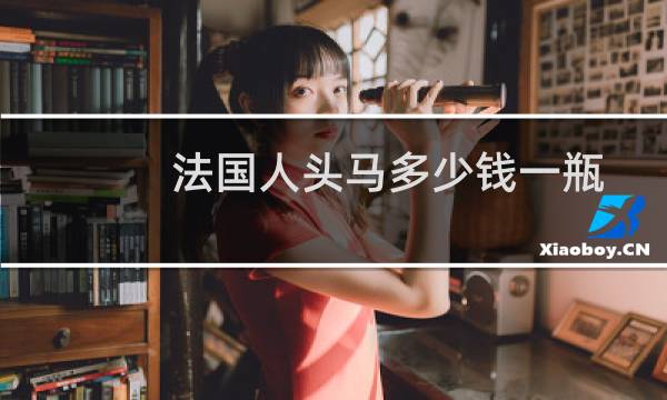法国人头马多少钱一瓶