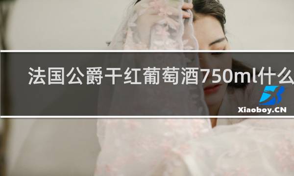 法国公爵干红葡萄酒750ml什么价