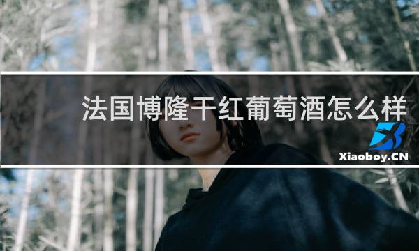 法国博隆干红葡萄酒怎么样