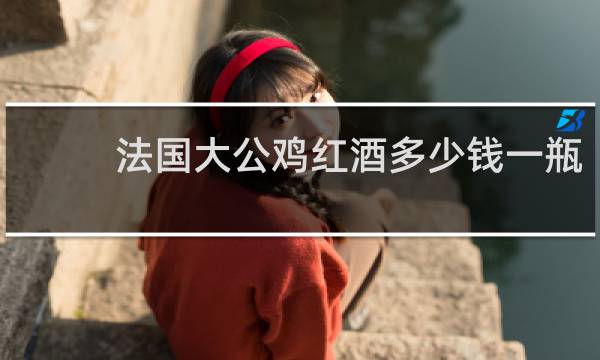 法国大公鸡红酒多少钱一瓶