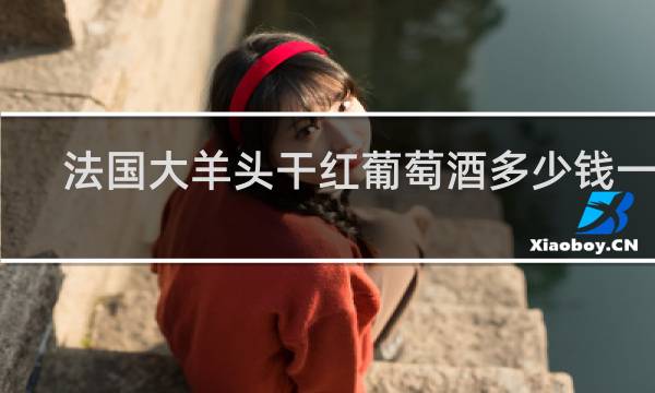 法国大羊头干红葡萄酒多少钱一瓶