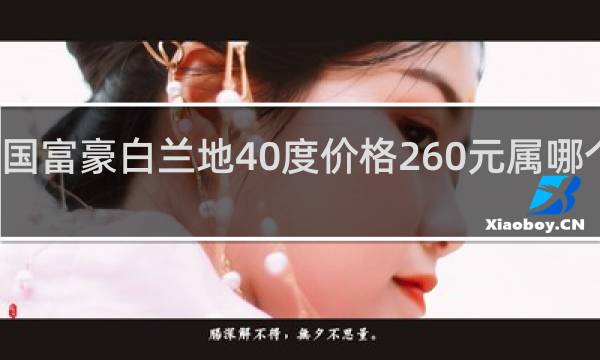 法国富豪白兰地40度价格260元属哪个等级的?