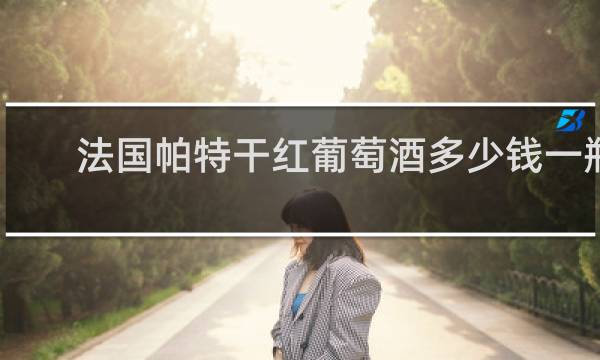 法国帕特干红葡萄酒多少钱一瓶