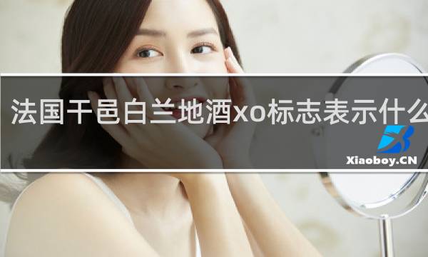 法国干邑白兰地酒xo标志表示什么意思
