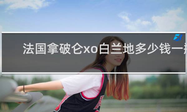 法国拿破仑xo白兰地多少钱一瓶