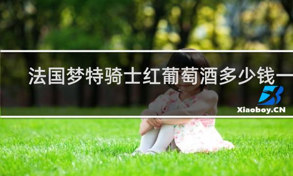 法国梦特骑士红葡萄酒多少钱一瓶