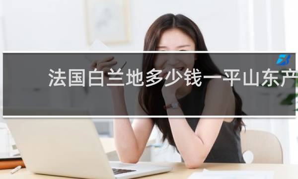 法国白兰地多少钱一平山东产