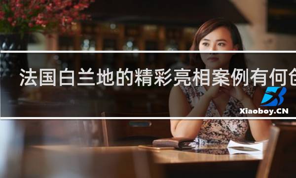 法国白兰地的精彩亮相案例有何创意