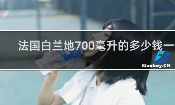 法国白兰地700毫升的多少钱一瓶?