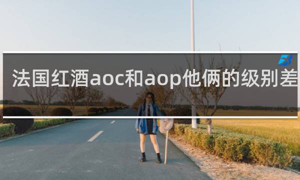 法国红酒aoc和aop他俩的级别差多少