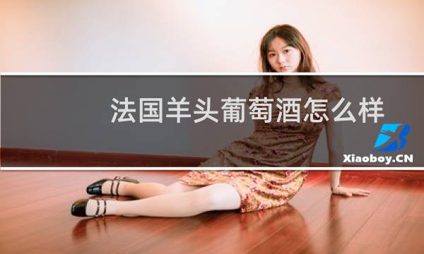 法国羊头葡萄酒怎么样