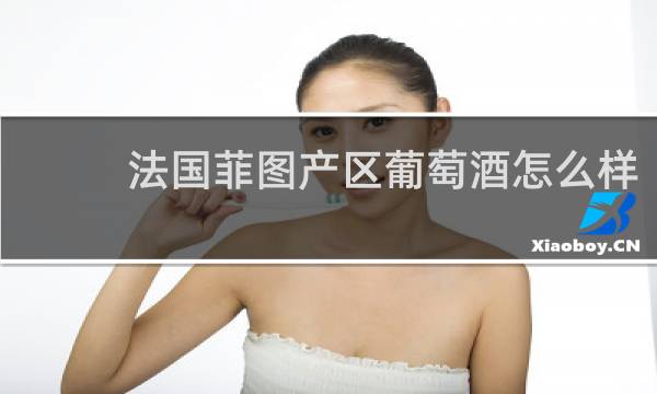 法国菲图产区葡萄酒怎么样