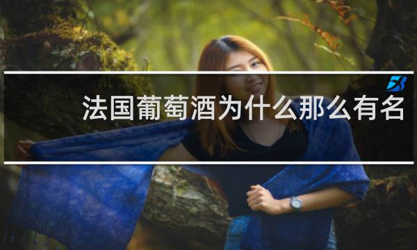 法国葡萄酒为什么那么有名?