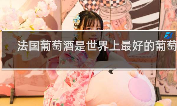 法国葡萄酒是世界上最好的葡萄酒