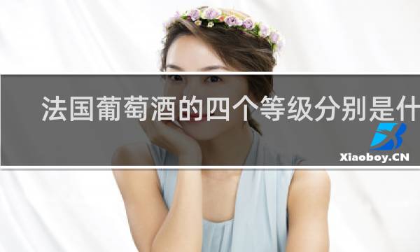 法国葡萄酒的四个等级分别是什么?