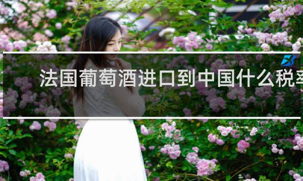 法国葡萄酒进口到中国什么税率