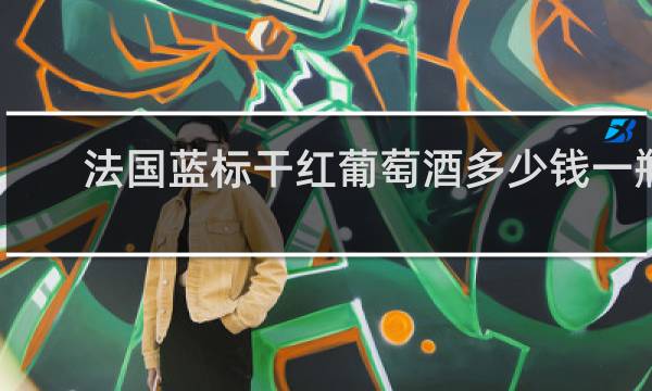 法国蓝标干红葡萄酒多少钱一瓶