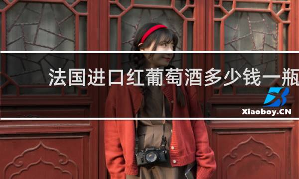 法国进口红葡萄酒多少钱一瓶