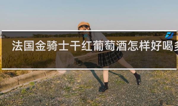 法国金骑士干红葡萄酒怎样好喝多了