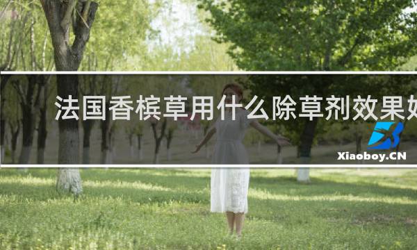法国香槟草用什么除草剂效果好