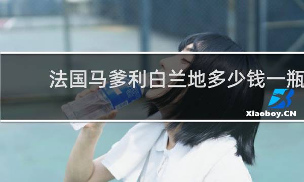 法国马爹利白兰地多少钱一瓶