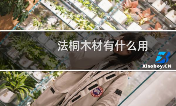 法桐木材有什么用