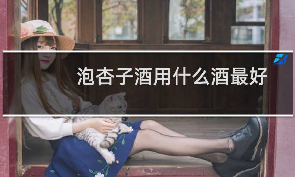 泡杏子酒用什么酒最好