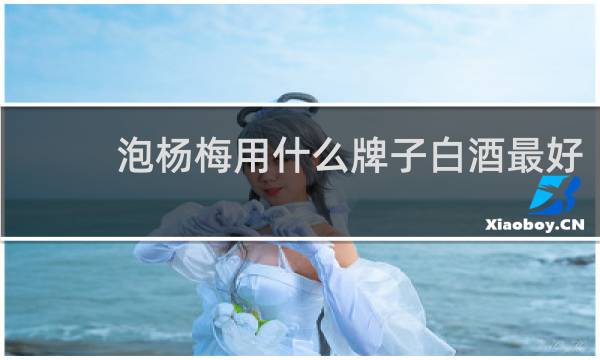 泡杨梅用什么牌子白酒最好