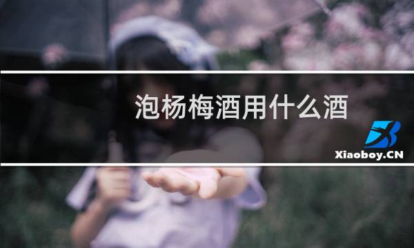 泡杨梅酒用什么酒