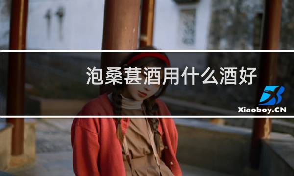 泡桑葚酒用什么酒好