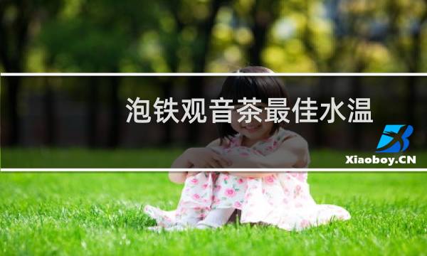 泡铁观音茶最佳水温