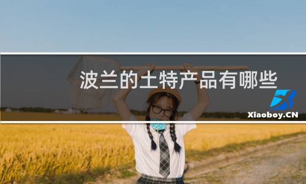 波兰的土特产品有哪些