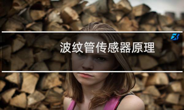 波纹管传感器原理