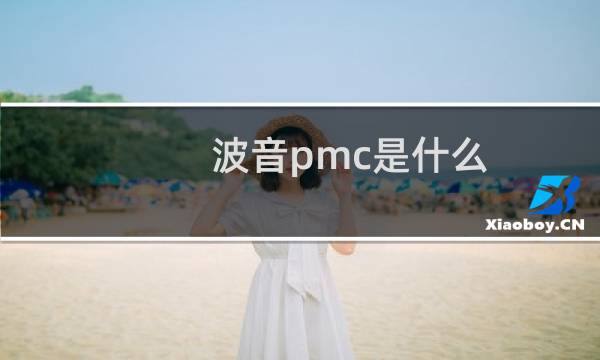 波音pmc是什么