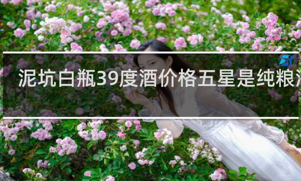 泥坑白瓶39度酒价格五星是纯粮酒吗