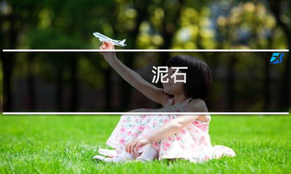 泥石 价格