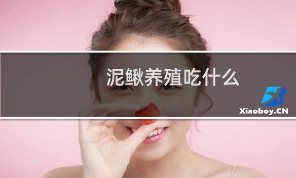 泥鳅养殖吃什么