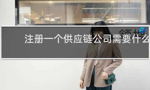 注册一个供应链公司需要什么