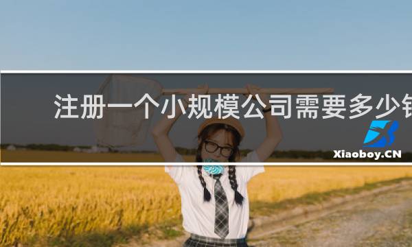 注册一个小规模公司需要多少钱