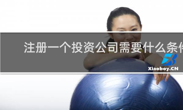 注册一个投资公司需要什么条件