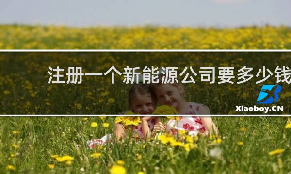 注册一个新能源公司要多少钱