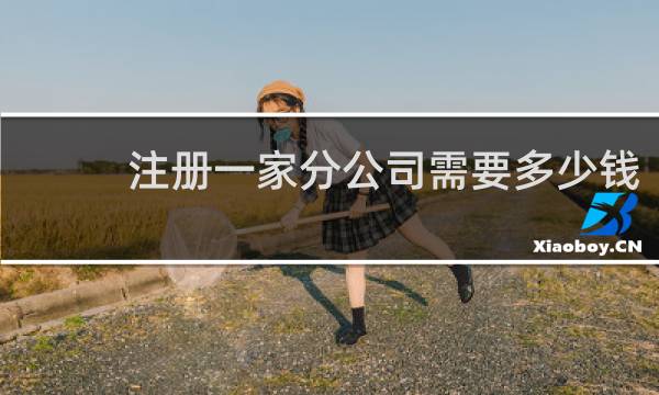 注册一家分公司需要多少钱