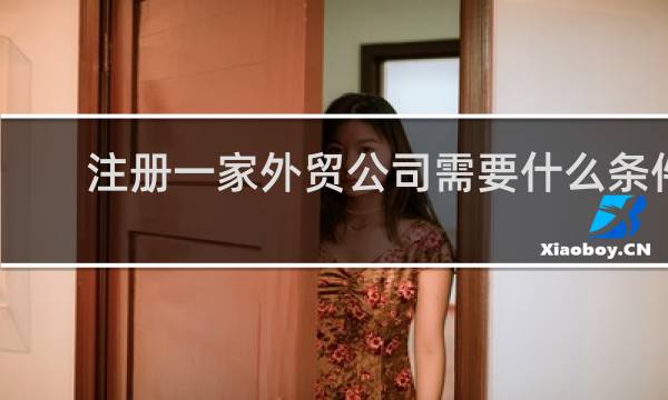 注册一家外贸公司需要什么条件