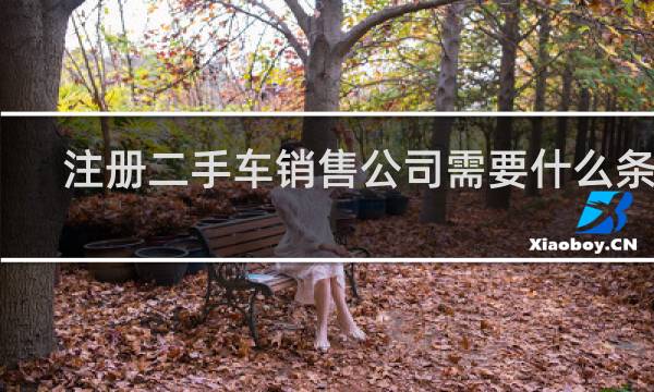 注册二手车销售公司需要什么条件