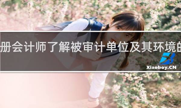 注册会计师了解被审计单位及其环境的目的是