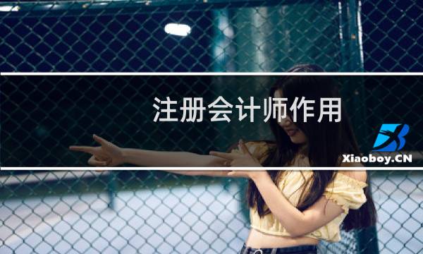 注册会计师作用