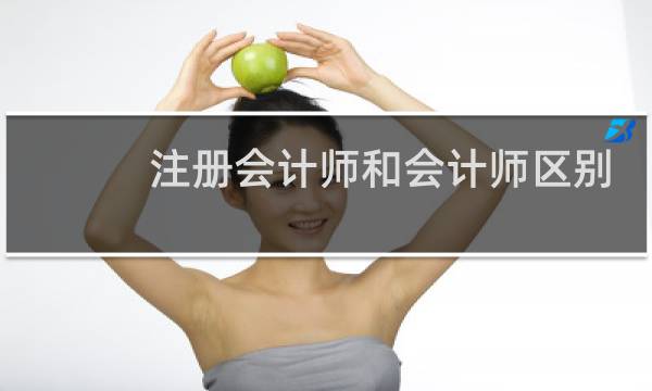 注册会计师和会计师区别